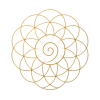 Logo lp manuelle novaski